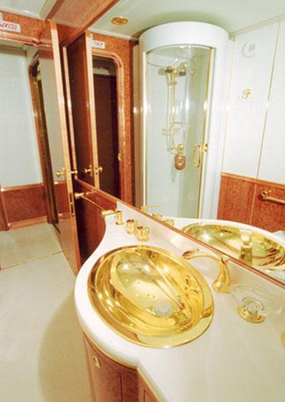 还备有浴室和淋浴间，当然也少不了金边装饰。